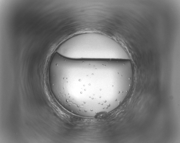 X0000074940145200609010954