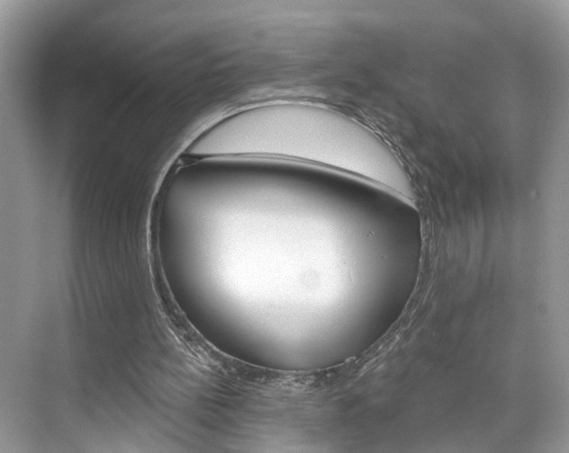 X0000074940148200609010954