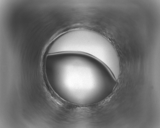 X0000074940150200609010954