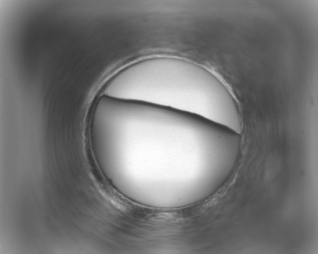 X0000074940151200609010954