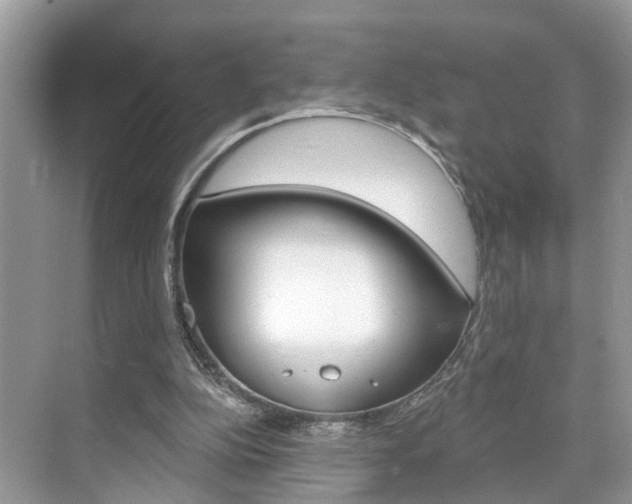 X0000074940152200609010954