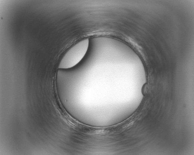 X0000074940153200609010954