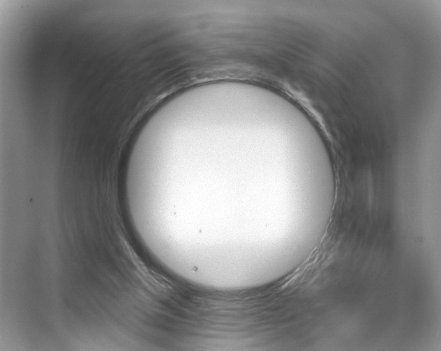 X0000074940154200609010954