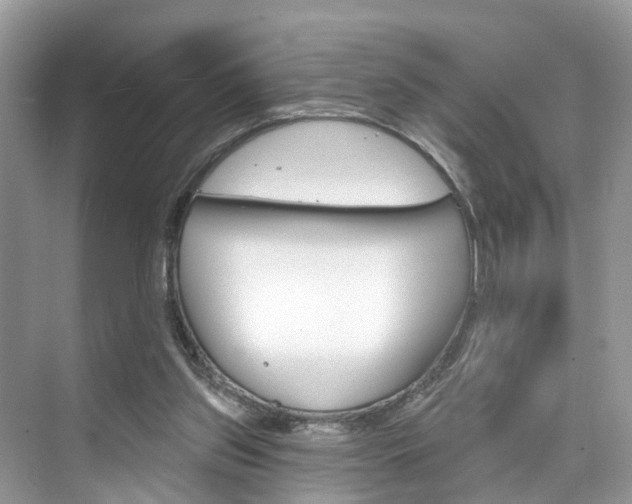 X0000074940157200609010954