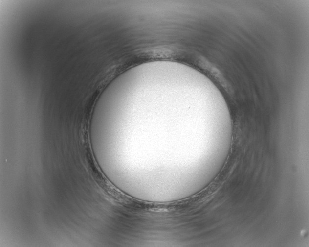 X0000074940161200609010954