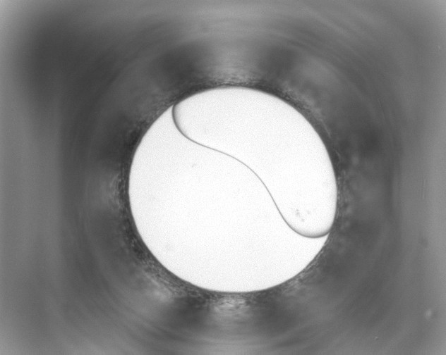 X0000074940162200609010954