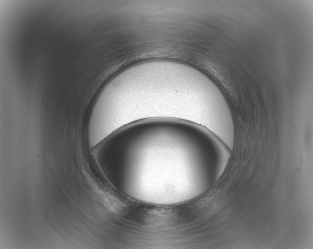 X0000074940164200609010954