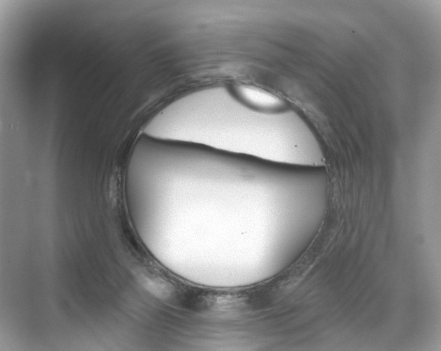 X0000074940165200609010954