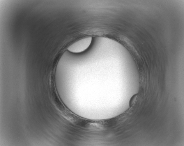 X0000074940167200609010954