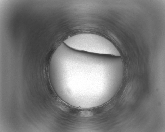 X0000074940169200609010954