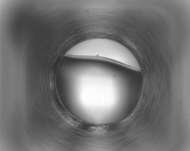 X0000074940170200609010954