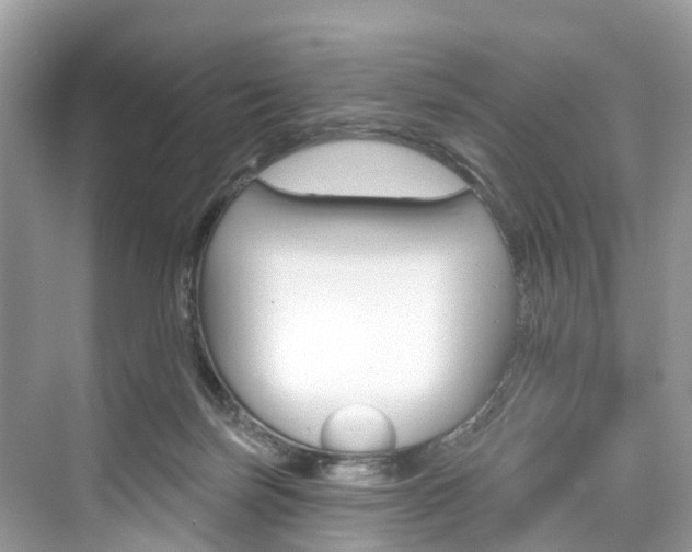 X0000074940171200609010954