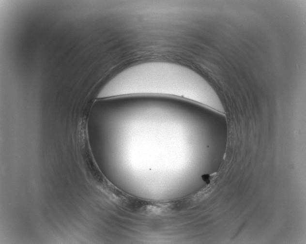 X0000074940172200609010954