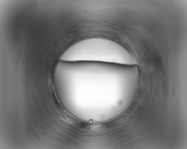 X0000074940173200609010954