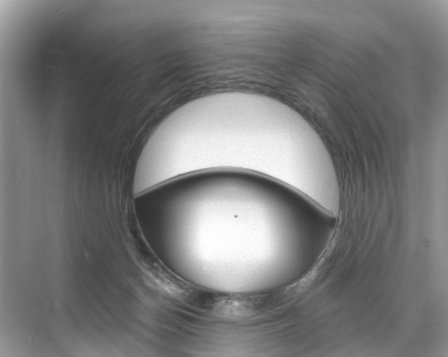 X0000074940174200609010954