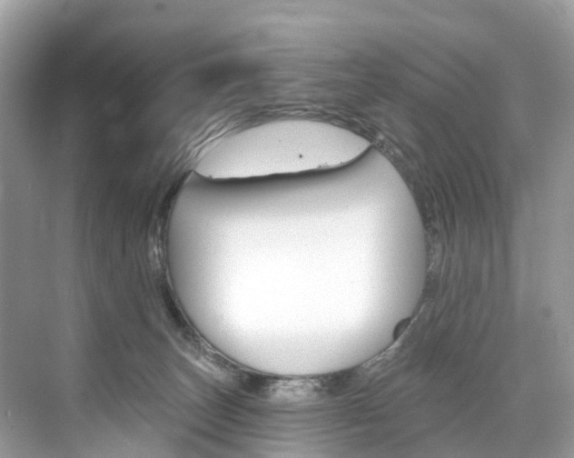 X0000074940179200609010954