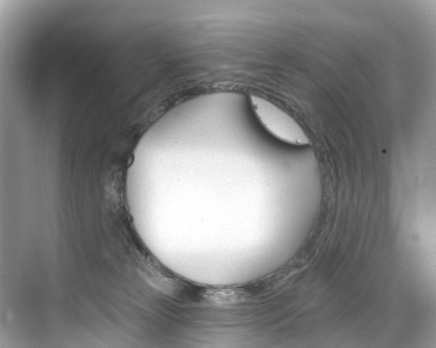 X0000074940181200609010954