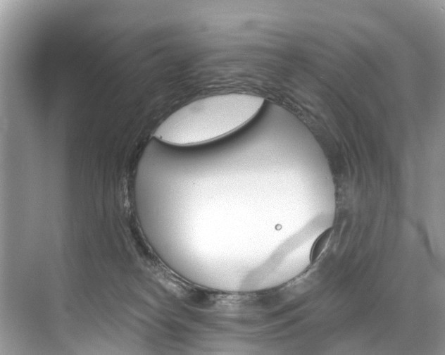 X0000074940182200609010954