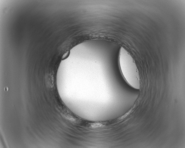 X0000074940183200609010954