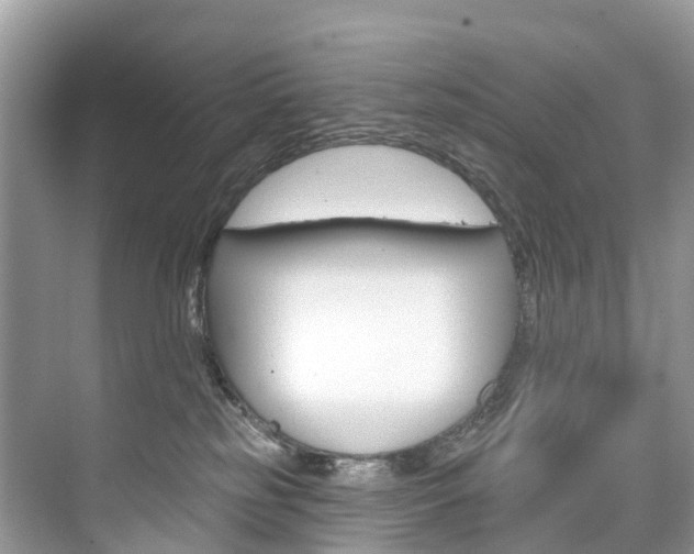 X0000074940185200609010954