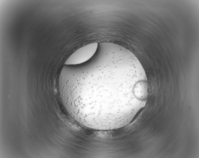 X0000074940187200609010954