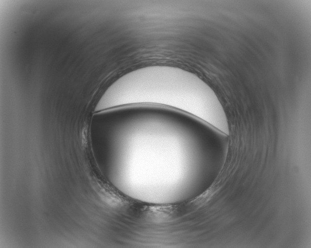 X0000074940188200609010954