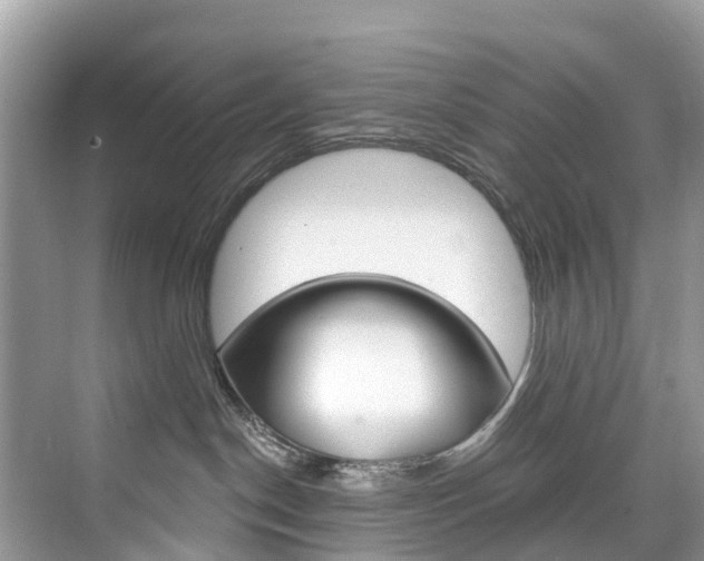 X0000074940190200609010954