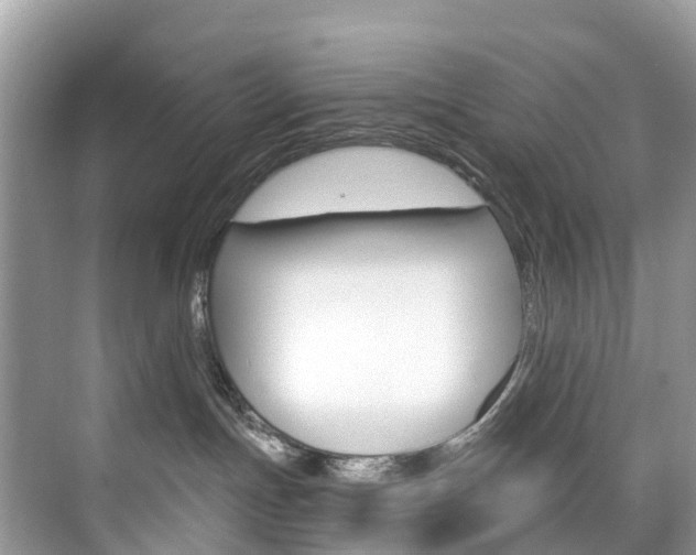 X0000074940191200609010954