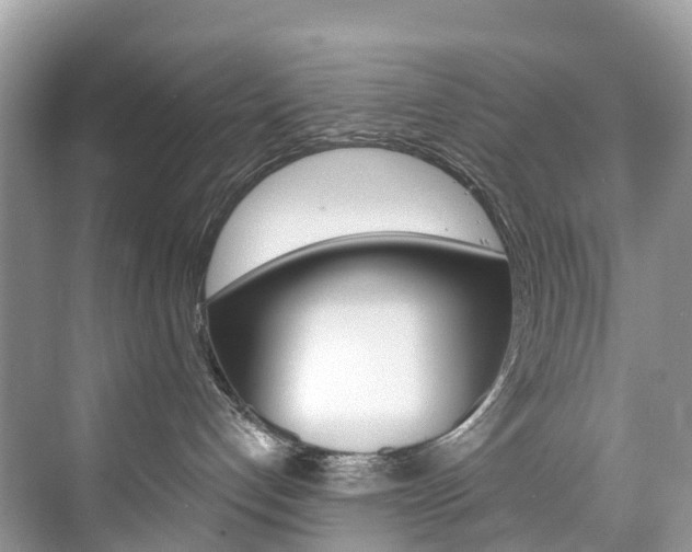 X0000074940192200609010954