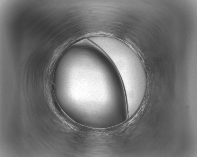 X0000074940193200609010954