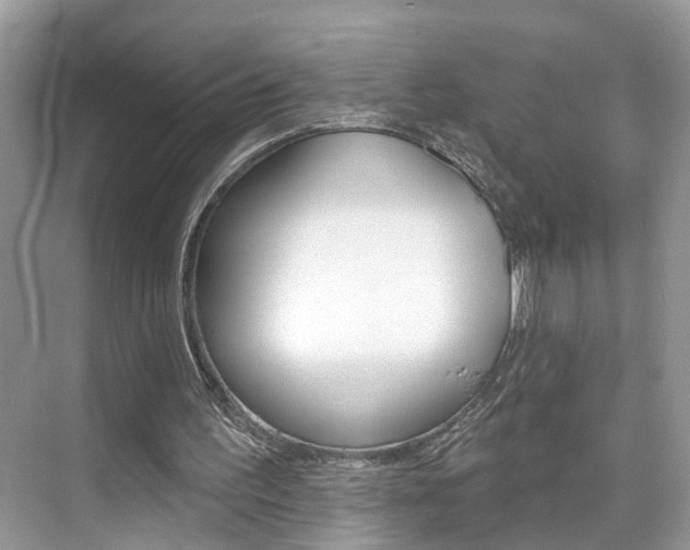 X0000074940195200609010954