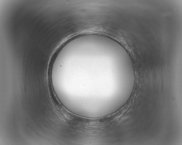 X0000074940196200609010954