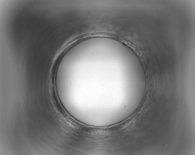 X0000074940198200609010954