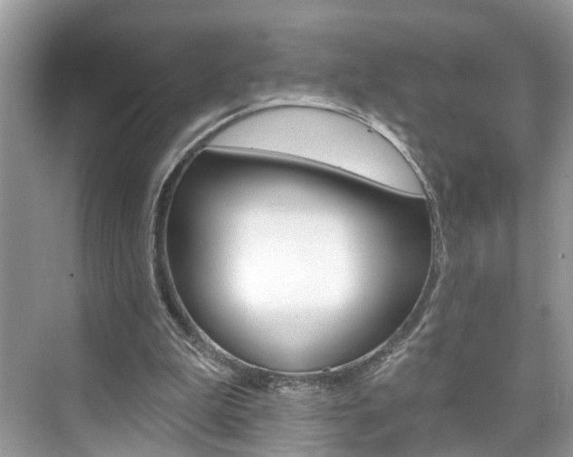 X0000074940199200609010954