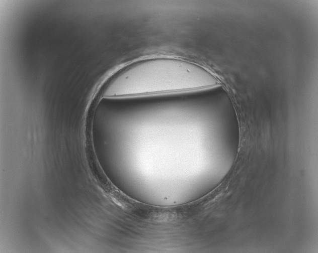 X0000074940200200609010954