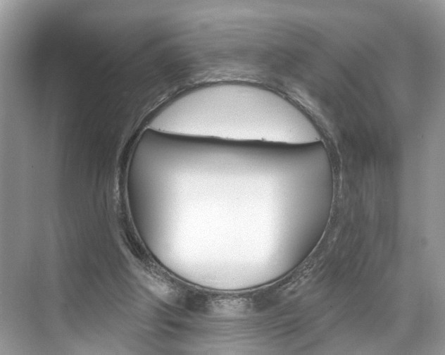 X0000074940202200609010954