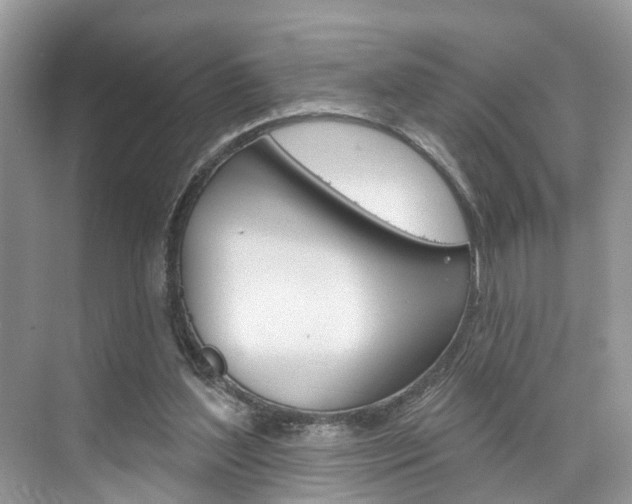 X0000074940204200609010953