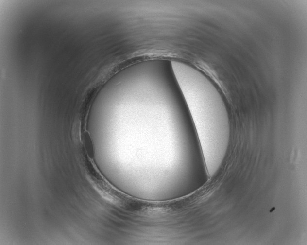 X0000074940205200609010953