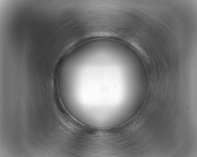 X0000074940207200609010953