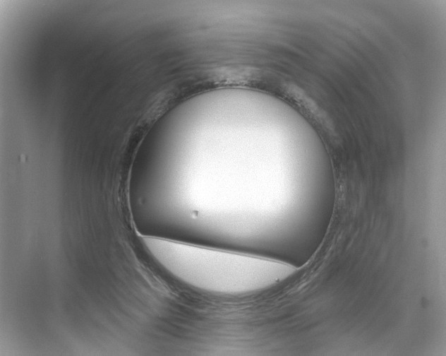 X0000074940209200609010953