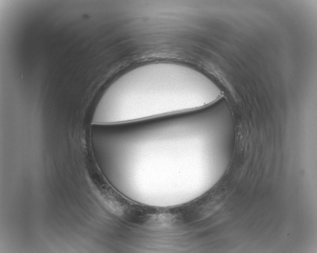 X0000074940212200609010953