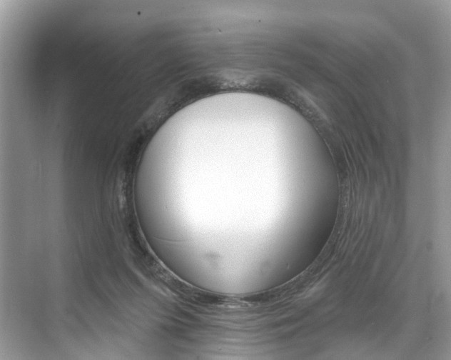 X0000074940215200609010953