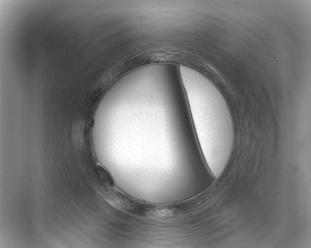 X0000074940217200609010953