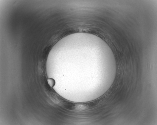 X0000074940218200609010953