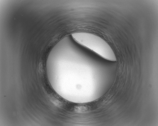 X0000074940220200609010953