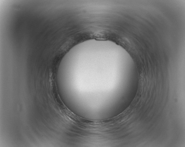 X0000074940223200609010953