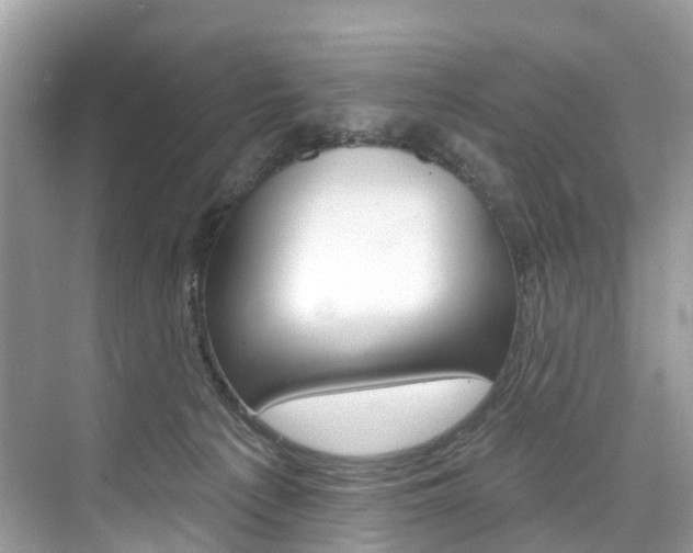 X0000074940225200609010953