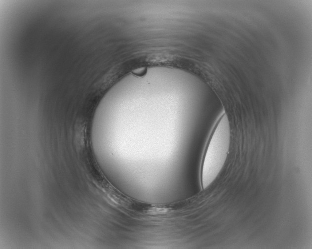 X0000074940227200609010953