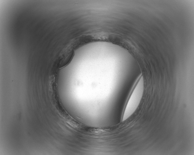 X0000074940229200609010953