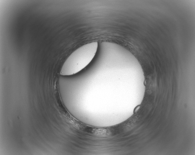 X0000074940230200609010953